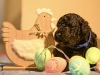 IMG_20250329_122300